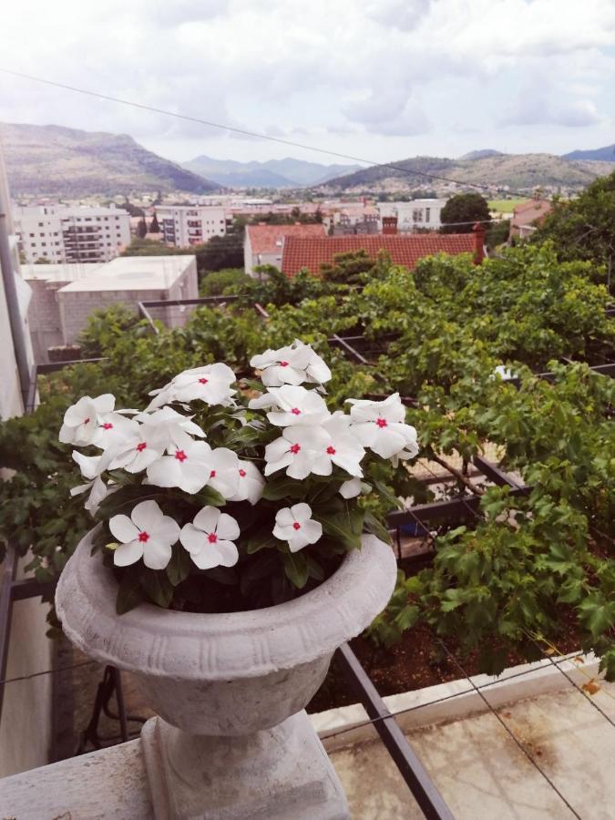 Nemanja Trebinje Exterior foto